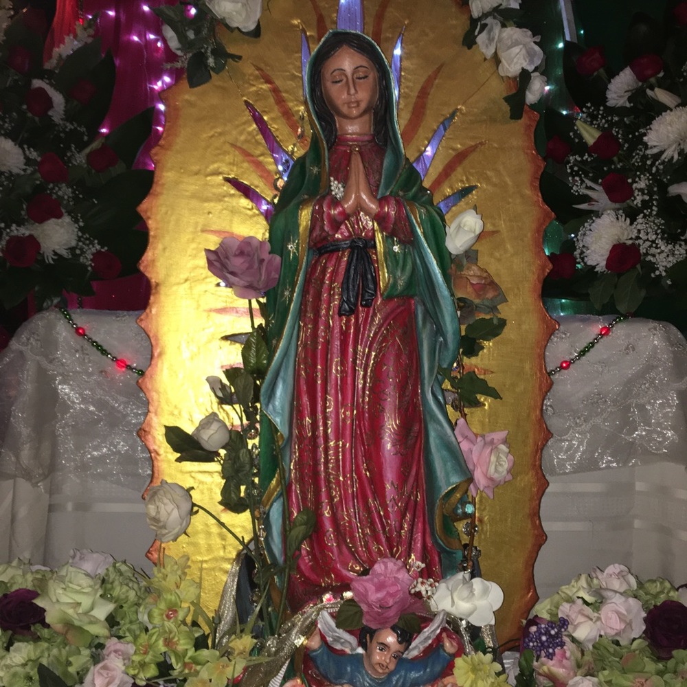 Meet your Posher, Carmen